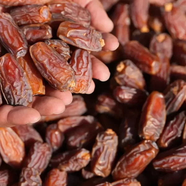 التمور فى المملكة العربية السعودية
