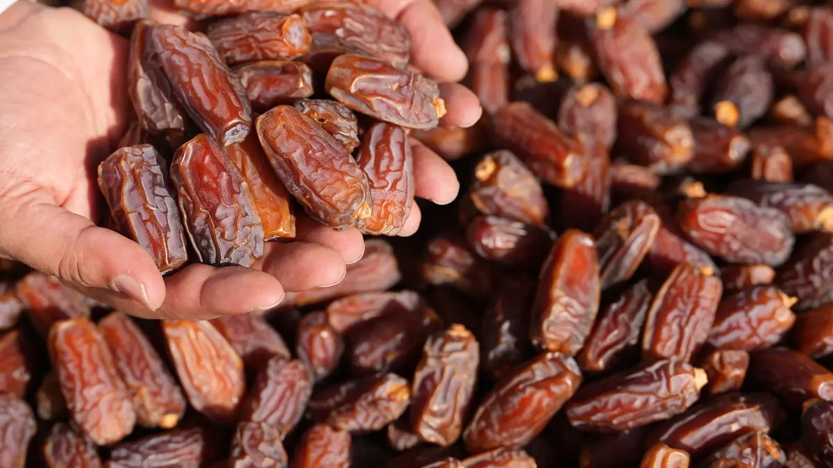التمور فى المملكة العربية السعودية