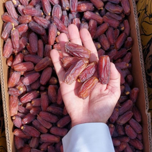 التمر في السعودية