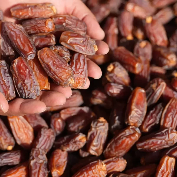 أفضل أنواع التمور السعودية