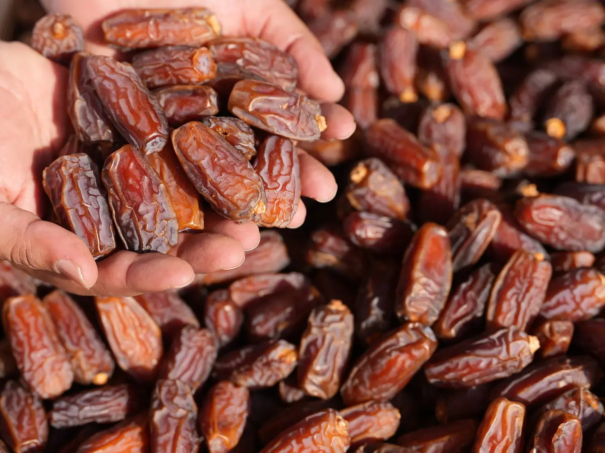 أفضل أنواع التمور السعودية