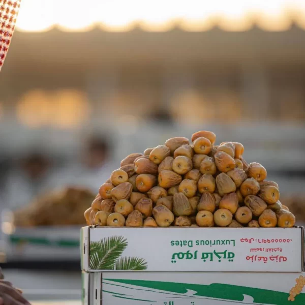 تمور السعودية الفاخرة