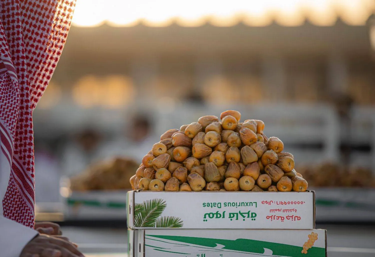 تمور السعودية الفاخرة