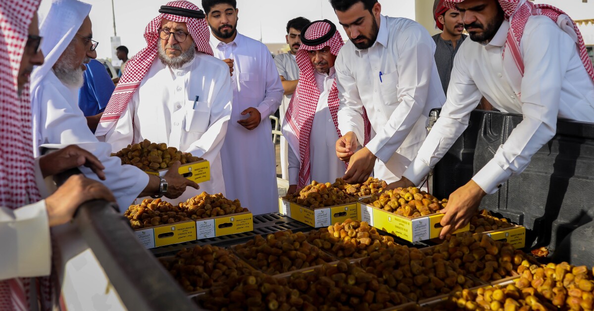 أفضل شركة تمور في السعودية